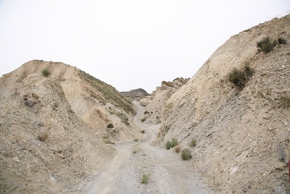 IMG 3673