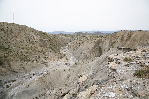 IMG 3627