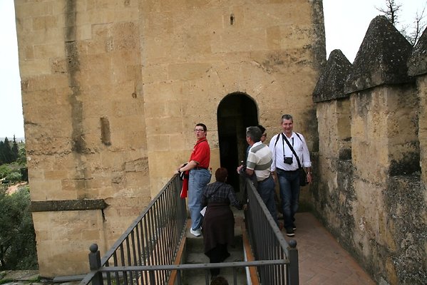 IMG 4594