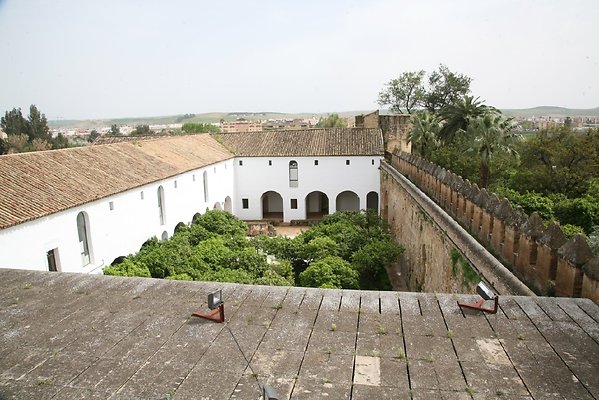 IMG 4595