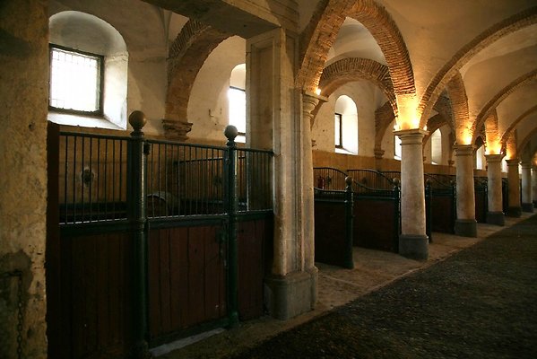 Corduba -Caballerizas Realles - Royal Stables 2