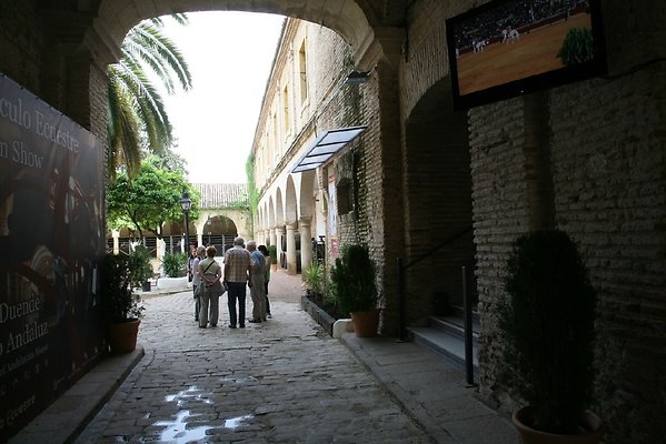IMG 4610