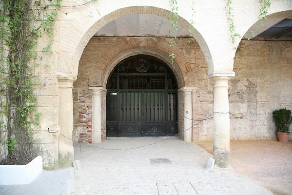IMG 4630