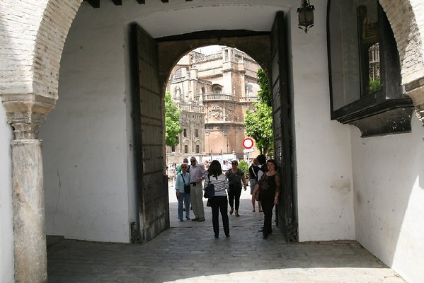 IMG 5136
