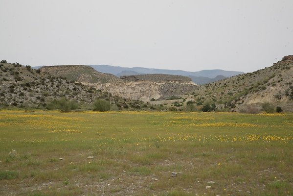 IMG 3736