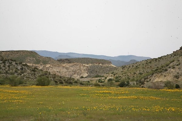 IMG 3734