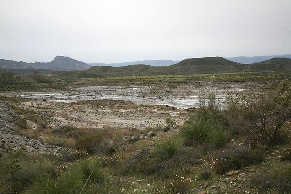 IMG 3738