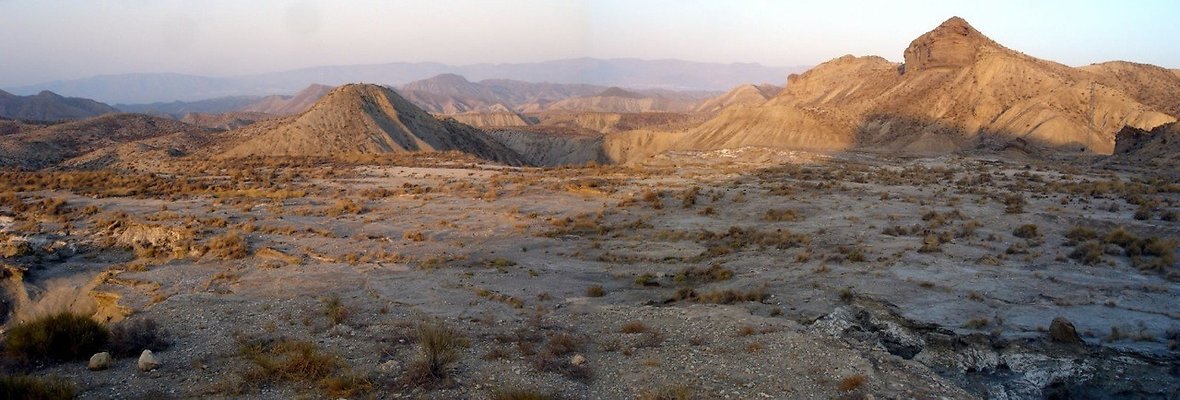 Las Lomillas desert near Almeria - file pix from July showing vegitation