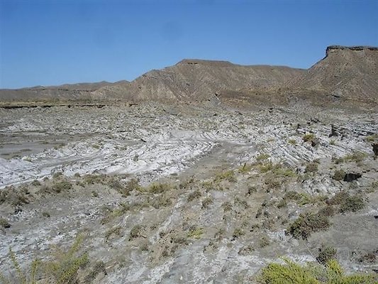 Salinillas  41 