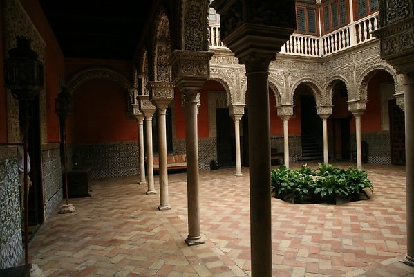 IMG 4713