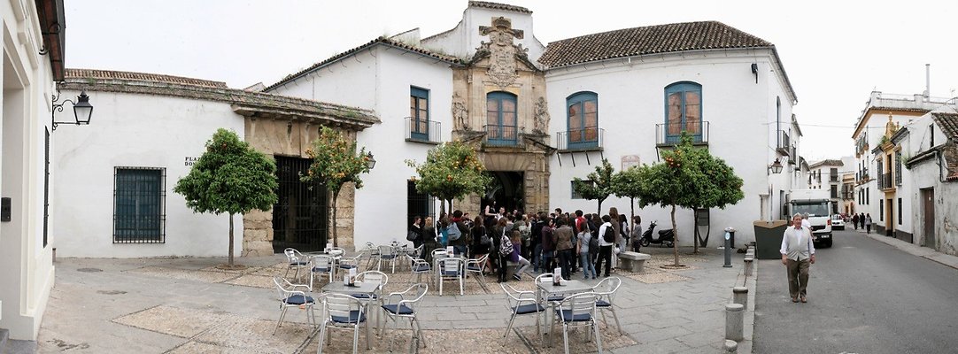 Corduba - Palace de la Viana
