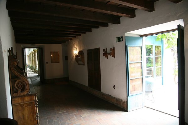 IMG 4134