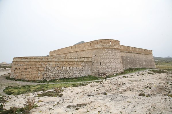 IMG 3764