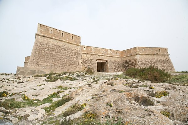 IMG 3763