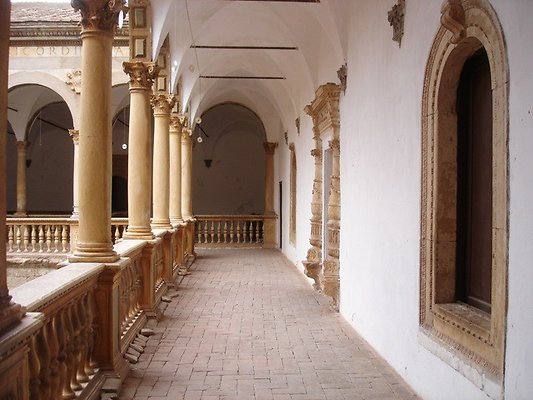 Patio  9 