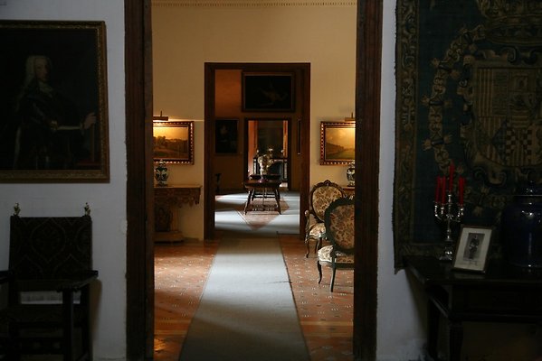 IMG 4852
