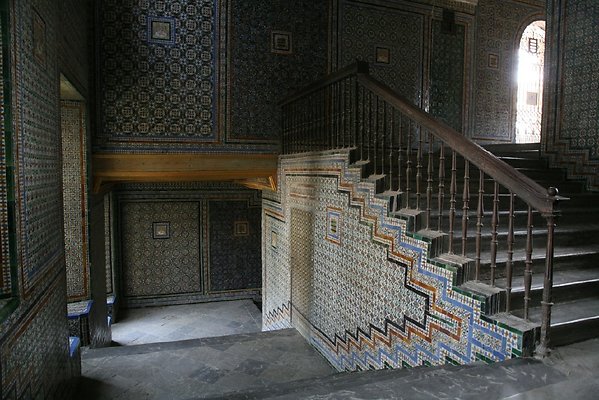 IMG 4884