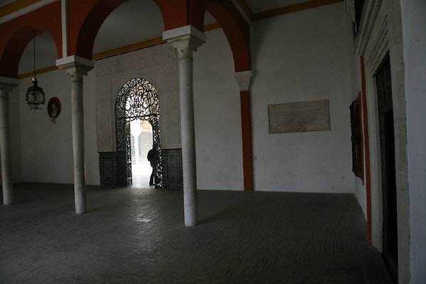 IMG 4903