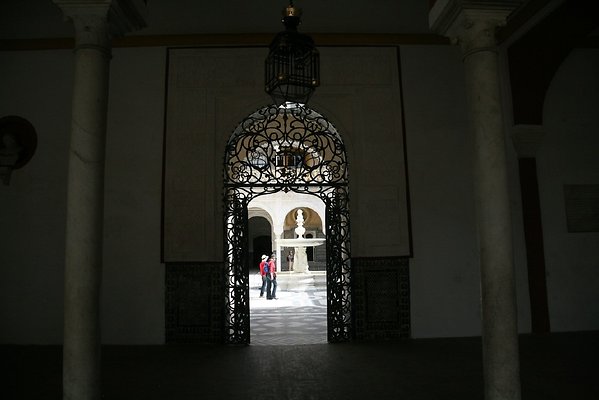 IMG 4925