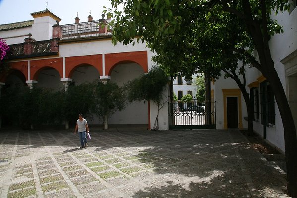 IMG 4906