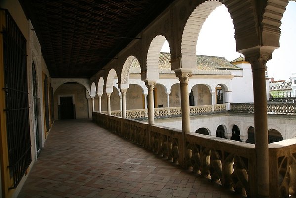 IMG 4868