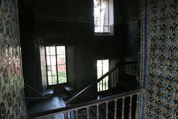 IMG 4879