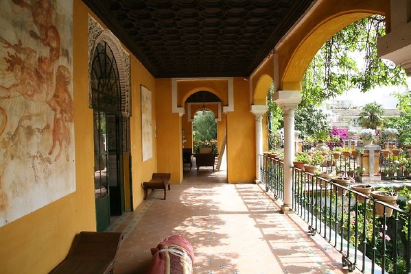 IMG 4833