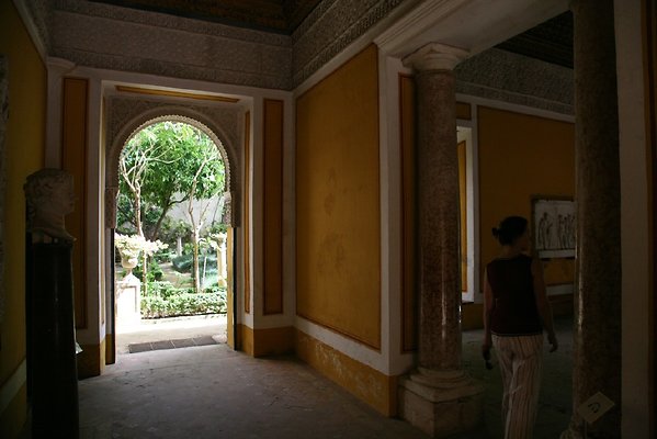 IMG 4973
