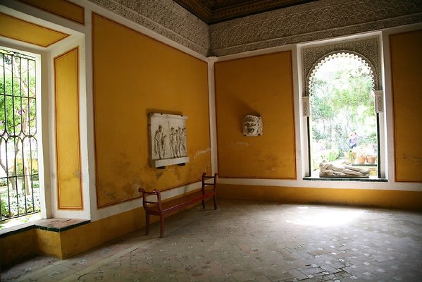 IMG 4969
