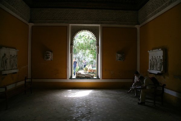 IMG 4970