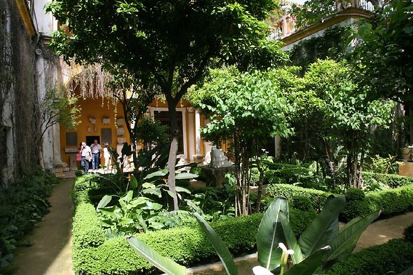IMG 4954
