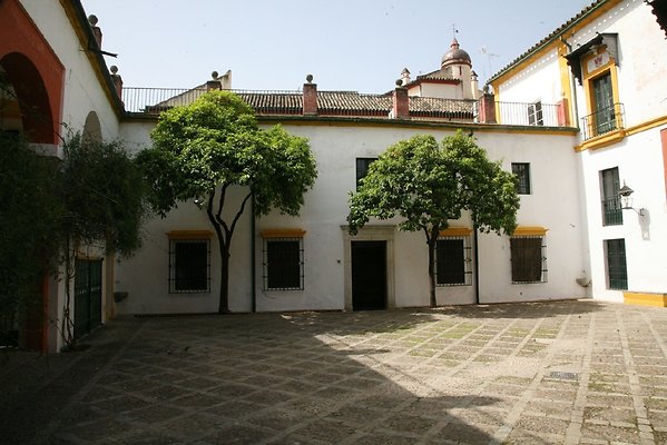 IMG 4905