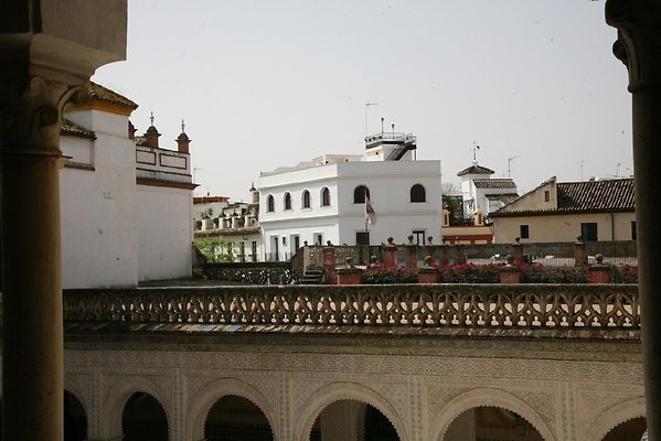 IMG 4869