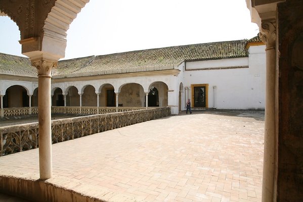IMG 4800