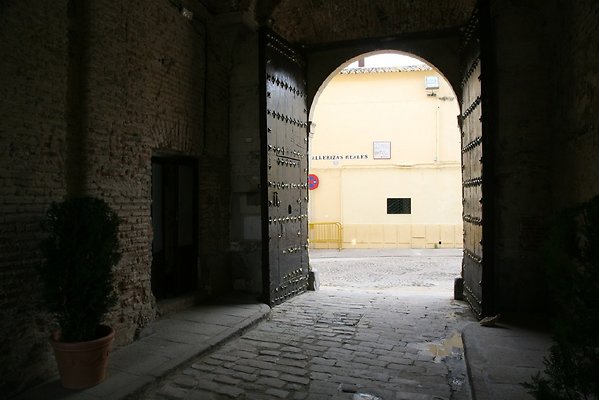 IMG 4609