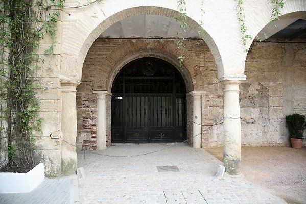 IMG 4630
