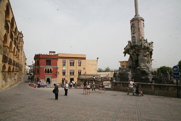 IMG 4505