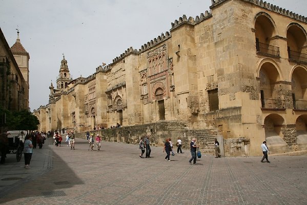 IMG 4487