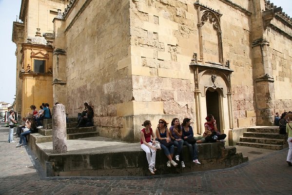 IMG 4537