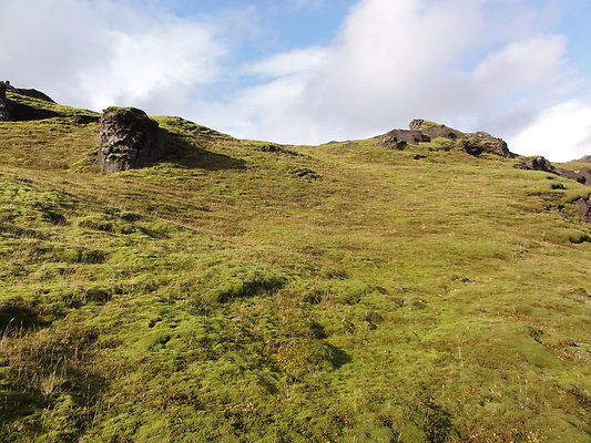 DSC01298