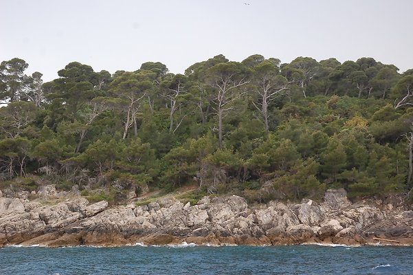 dubrovnik 11may sd710