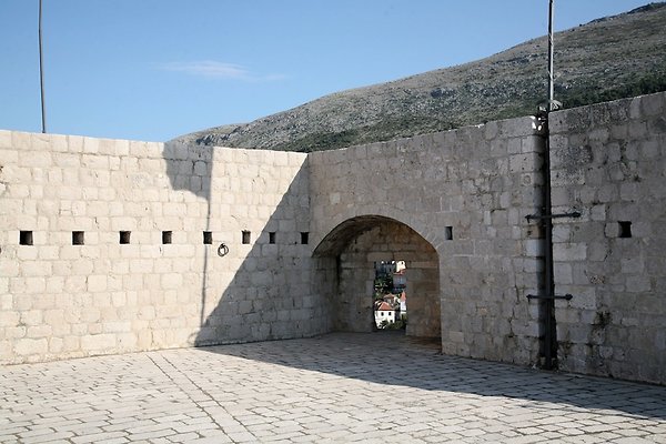 IMG 3454