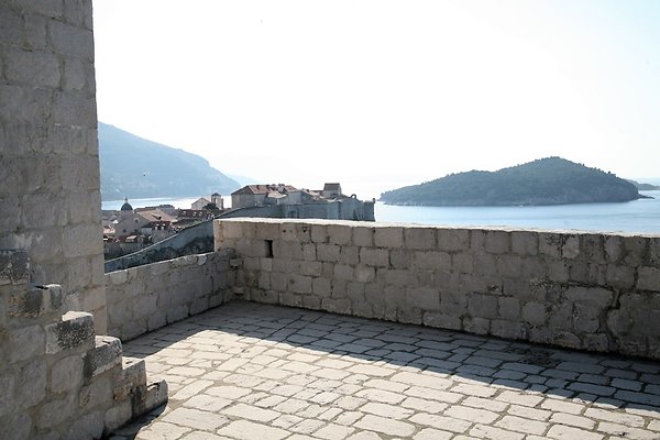 IMG 3455