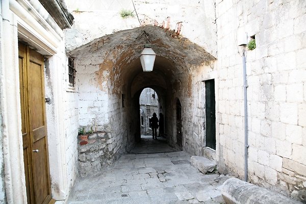 IMG 3386