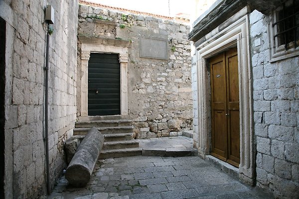 IMG 3387