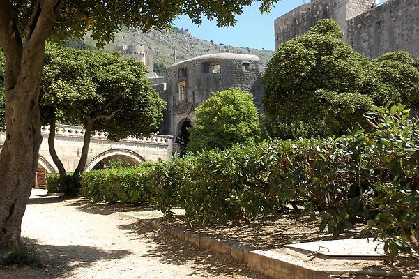 dubrovnik 12may sd2252 icon