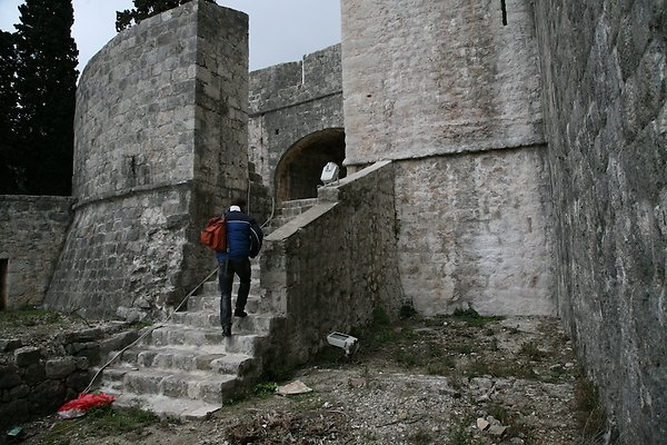 IMG 2995