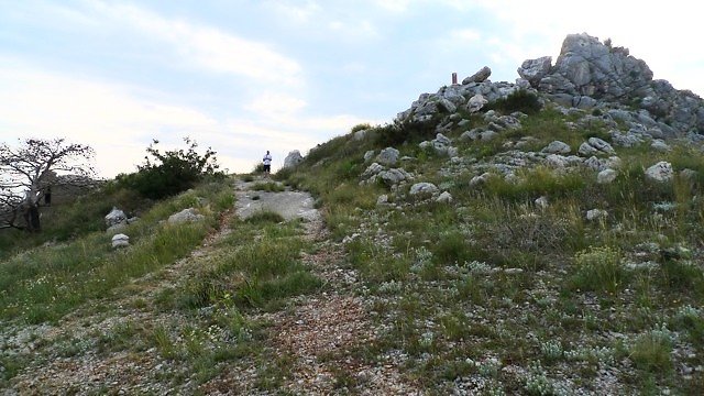 P1020858