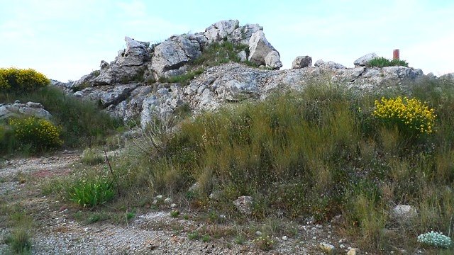 P1020861
