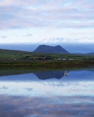 Iceland - South coast-6